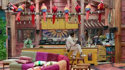 Bigg Boss 19: Grand Premiere Chaos! Fights, Friendships & First Eviction Shocks (Sept 18, 2025)
