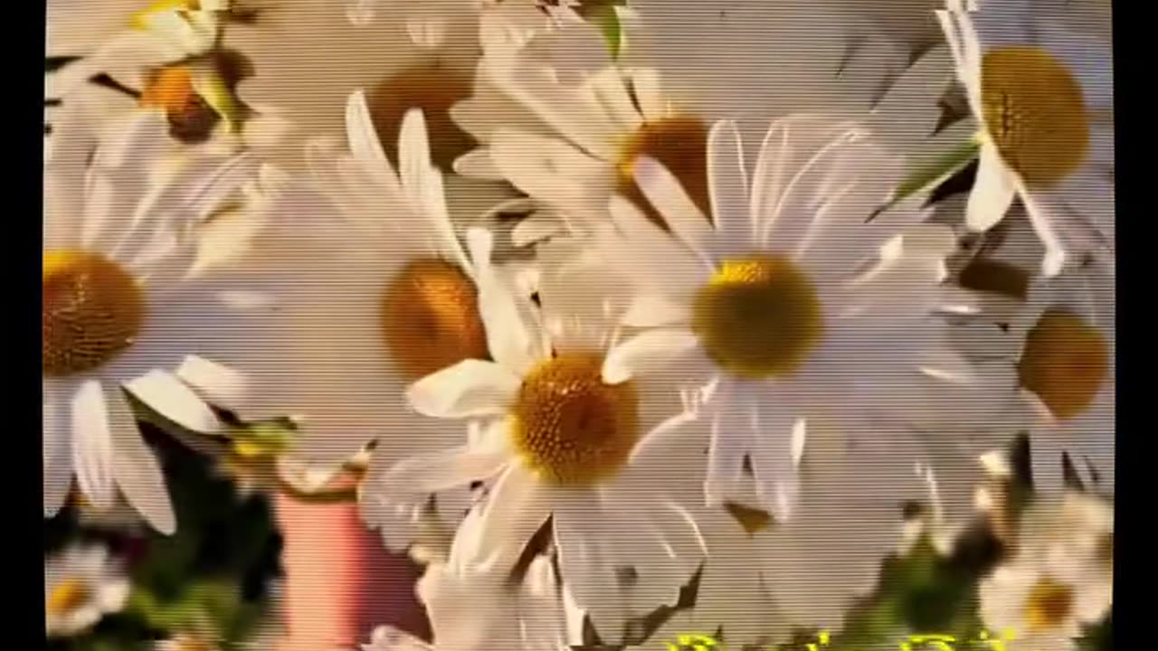 Punjabi song