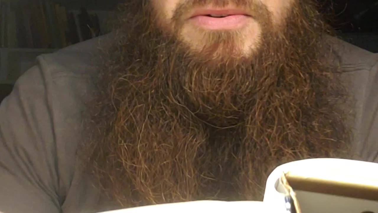 Bible Story: The Promise Of A Son