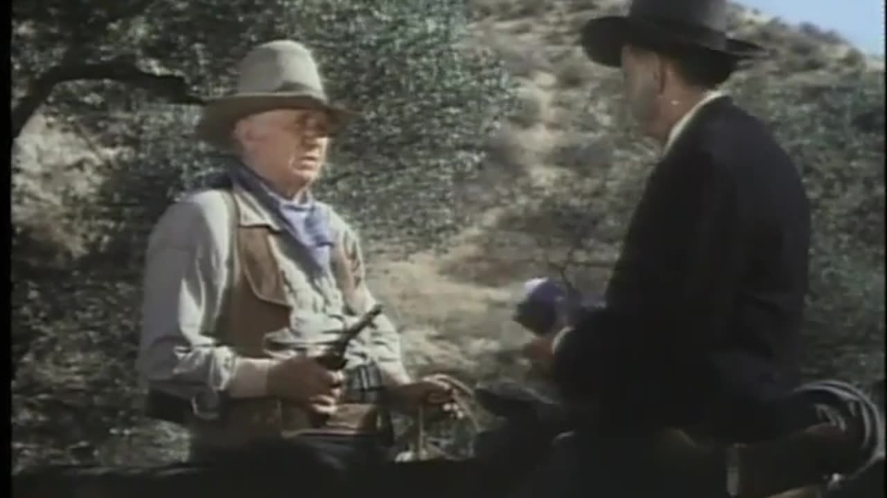 WILLSONNETTD3 Movie 12 9