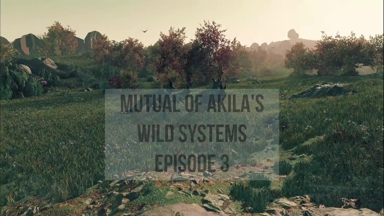 Mutual of Akila Wild Systems Episode 3
