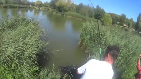 Pêche grosse carpe