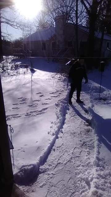 A section of the Golden Lion form