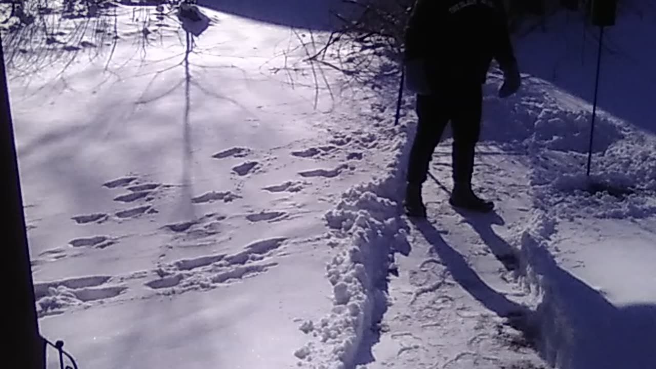 A section of the Golden Lion form