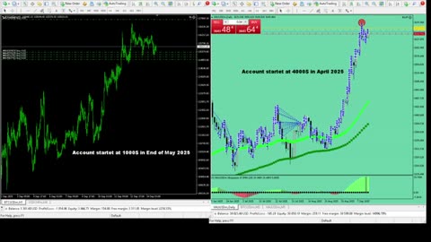 Live Stream Gold Trading from Monday to Friday