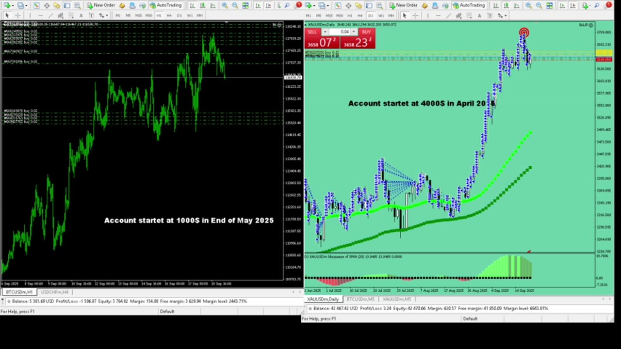Live Stream Gold Trading from Monday to Friday