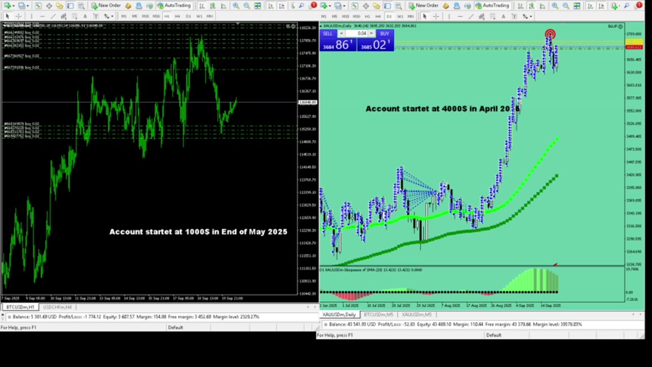 Live Stream Gold Trading from Monday to Friday