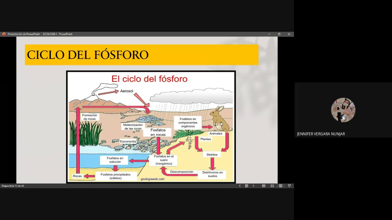 PAMER SEMESTRAL 2023 | Semana 15 | Biología: Ecología
