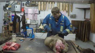 Skinning Day - Working On Beavers