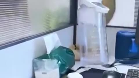 😂🦘 Epic Jump and Bottle Reuse Fail! | FunFM