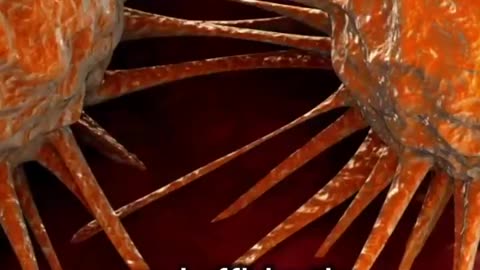Why bats are resistant to cancer