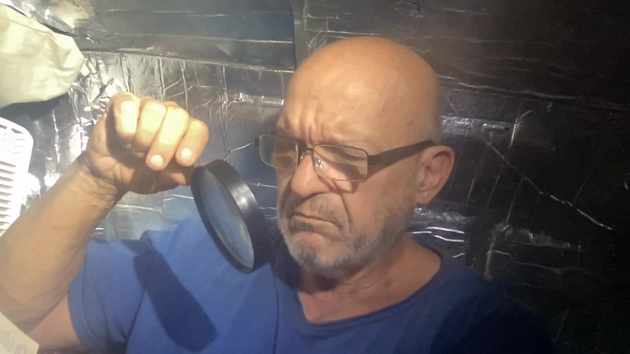 Bible Verses - June 29, 2025