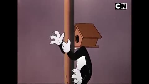 Looney tunes🐰| Non - Stop fun🤣| funny video 🤣