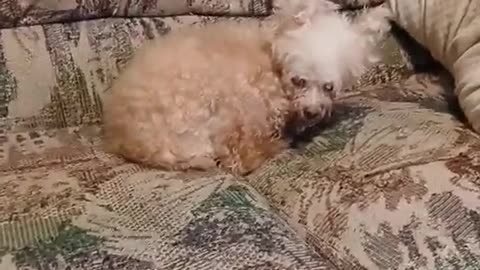 😍🤩 You Won't Believe How Beautiful She Looks! | FunFM