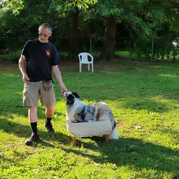 Shaping the Stay Cue 15