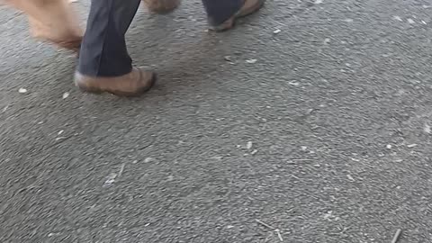 Dog eaters using leads to leave after a shit on the dead