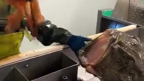 😂💥 What Could Go Wrong? | FunFM
