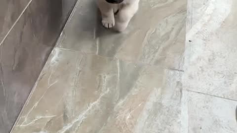 Exercising self control 🤣