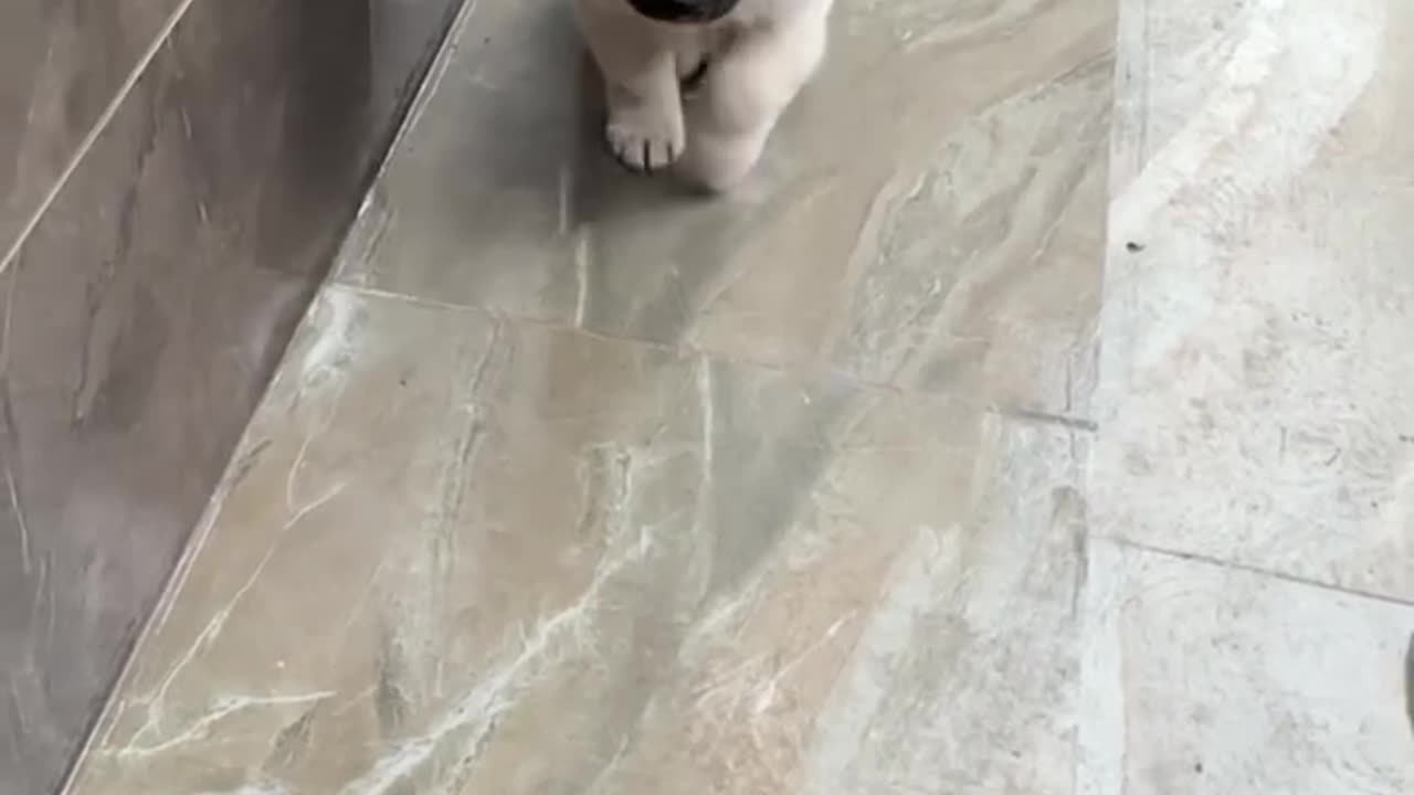 Exercising self control 🤣
