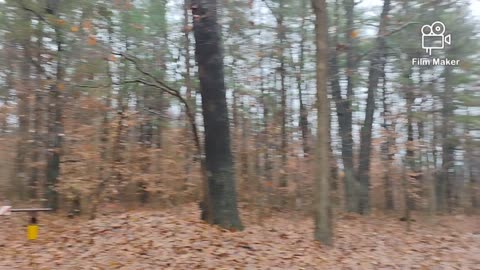 Thanksgiving 🦃 Day in the Hoosier