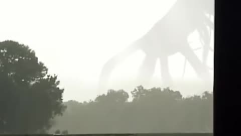 👽😱 The Most CHILLING Alien Encounter Ever Recorded! | TheTruthAbove