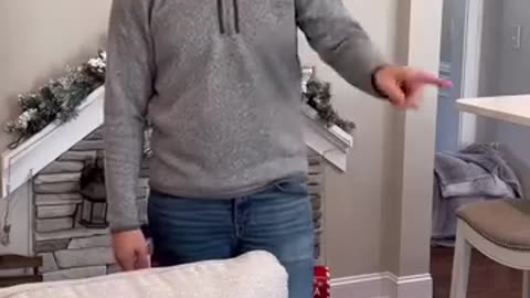 Breaking: The Funniest VIRAL Dog Christmas Skits! #dog #goldenretriever #christm