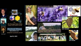 SHUNGITE REALITY 4/8/25 - Kerry Lavender Shungite Beehives