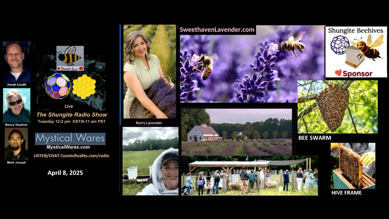SHUNGITE REALITY 4/8/25 - Kerry Lavender Shungite Beehives