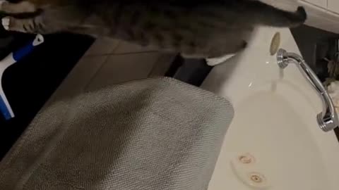 Esther VS the Squeegee