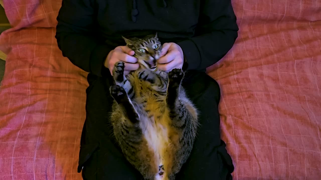 How dare you tickle my Footsies!😺