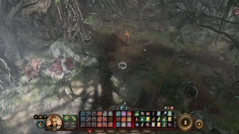 Baldur's Gate 3: Lae'Zel the Dark Tank Saving Halsin