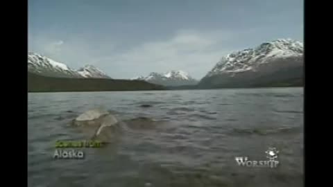Sovereign TV on Rumble