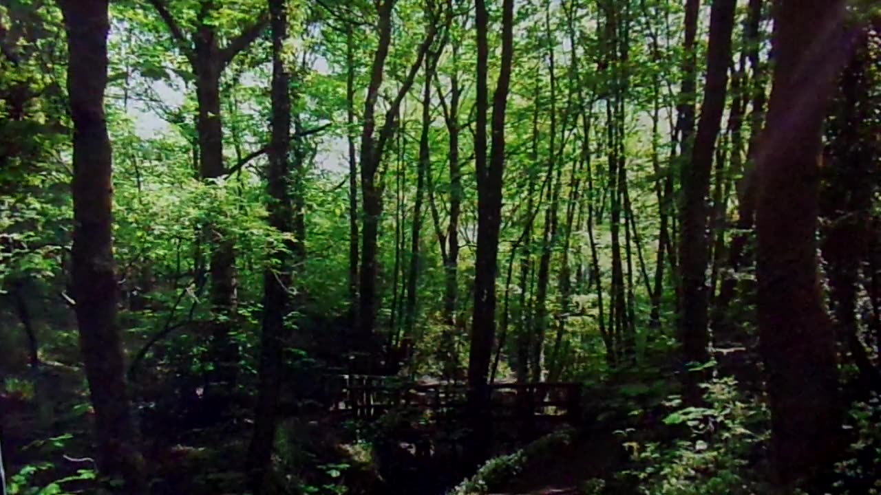 This depopulation agenda 11/17/25: