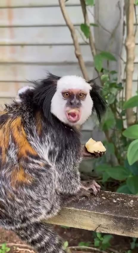 Little guy all tucked in