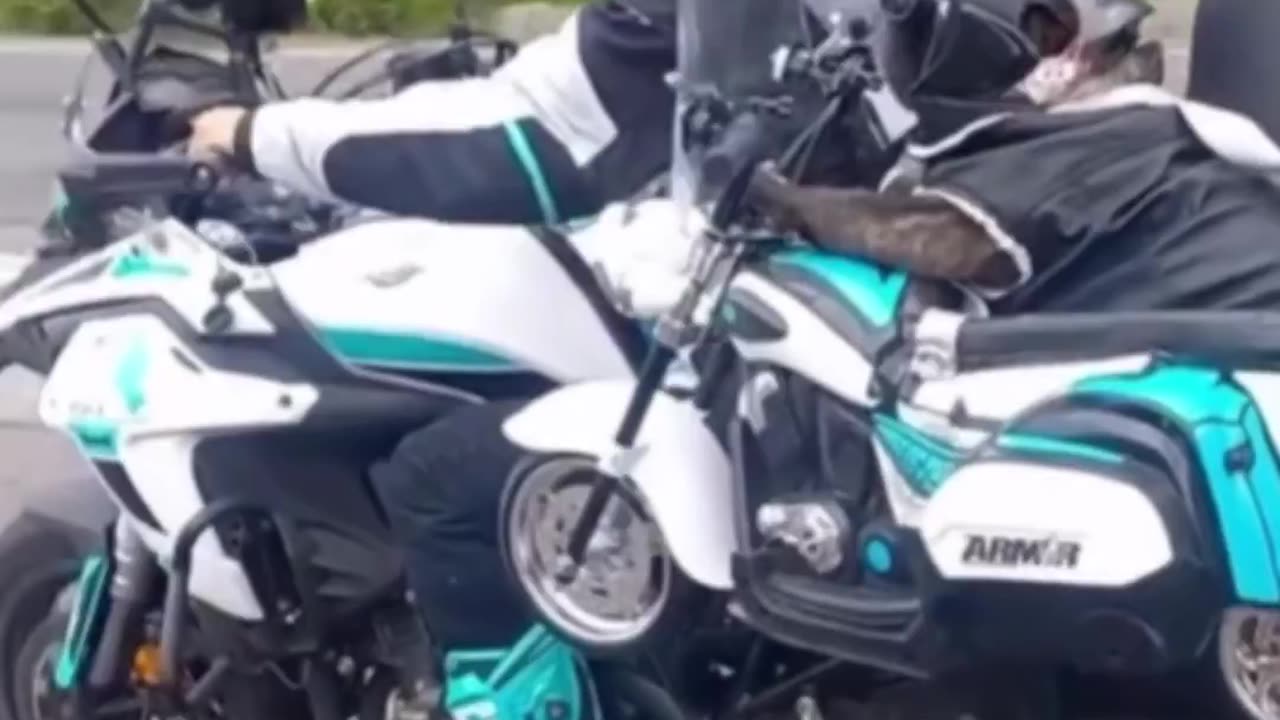 The dog has his own motorcycle.. 😎