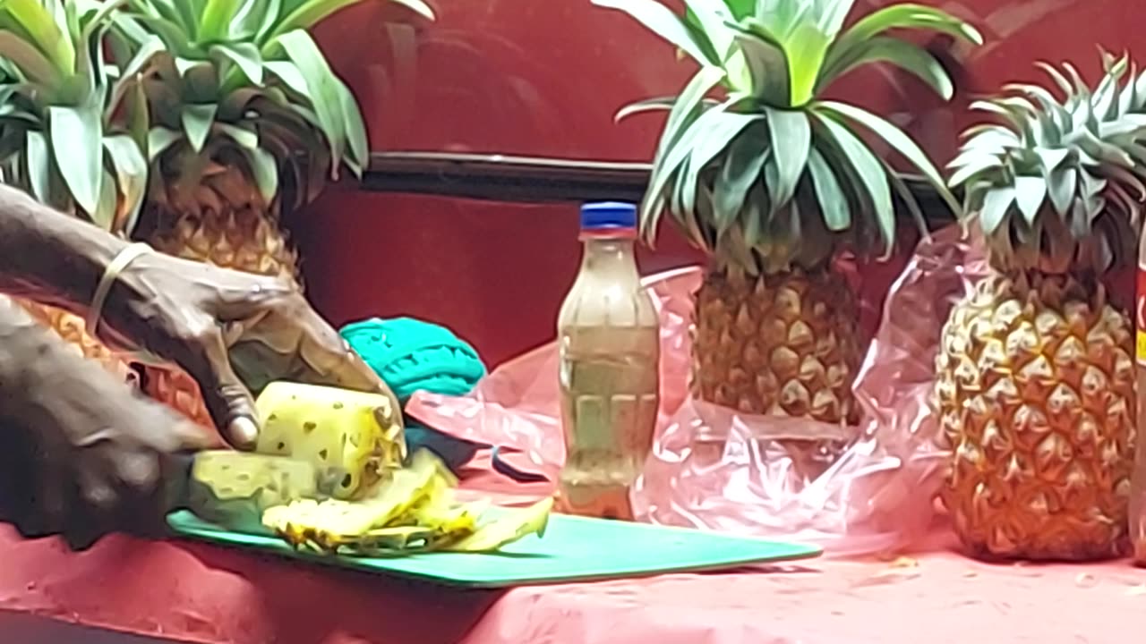 Only $1 Pineapple 🍍🤩 | Fresh, Juicy & Totally Worth It!