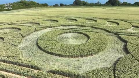 Crop Circle de la côte jurassique, Lyme Regis, Devon, 28 juin 2025. Crop Circles vus du ciel.