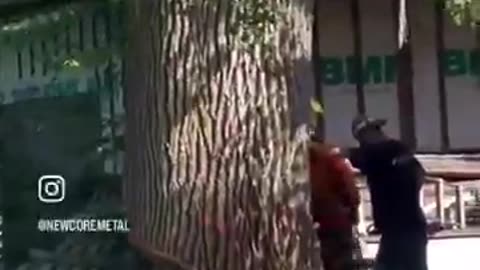 Negli stati uniti USA un'albero sporgente è stato abbattuto per la sicurezza di un'abitazione