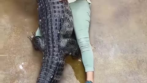 What animals teach us ❤️