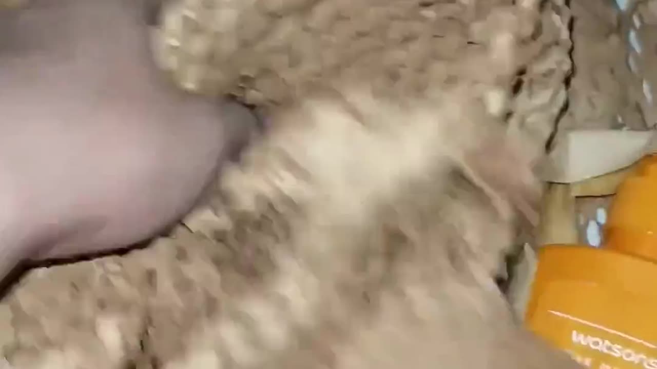 OMG I like This Package
