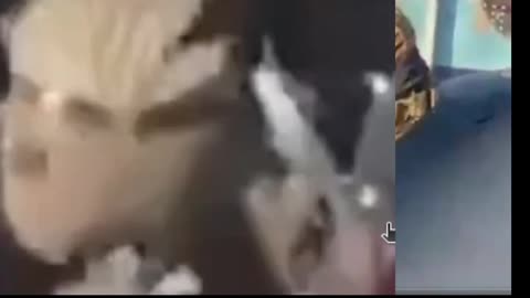 Video 100% proof Gun Drawn by Alex Jeffrey Pretti to Shoot ICE