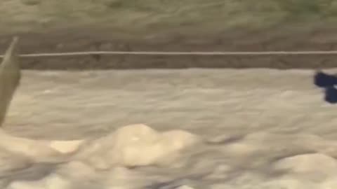 How were Romans roads built?