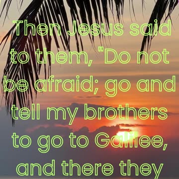 "Do Not Be Afraid — Go Tell My Brothers" Matthew 28:10. #shorts #youtube #ytshorts #reels #love #yt