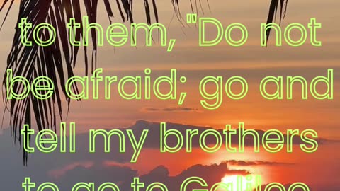 "Do Not Be Afraid — Go Tell My Brothers" Matthew 28:10. #shorts #youtube #ytshorts #reels #love #yt