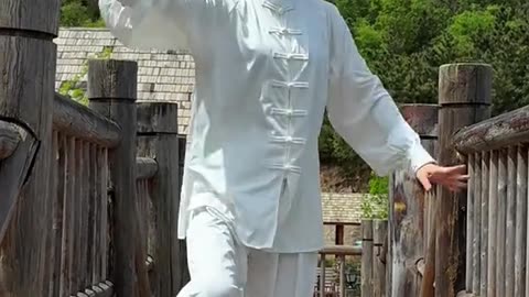 无招无式，方见大千 #太极 #武术 #中华武术博大精深 #taiji #kungfu #usa