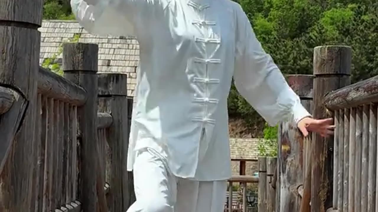 无招无式，方见大千 #太极 #武术 #中华武术博大精深 #taiji #kungfu #usa