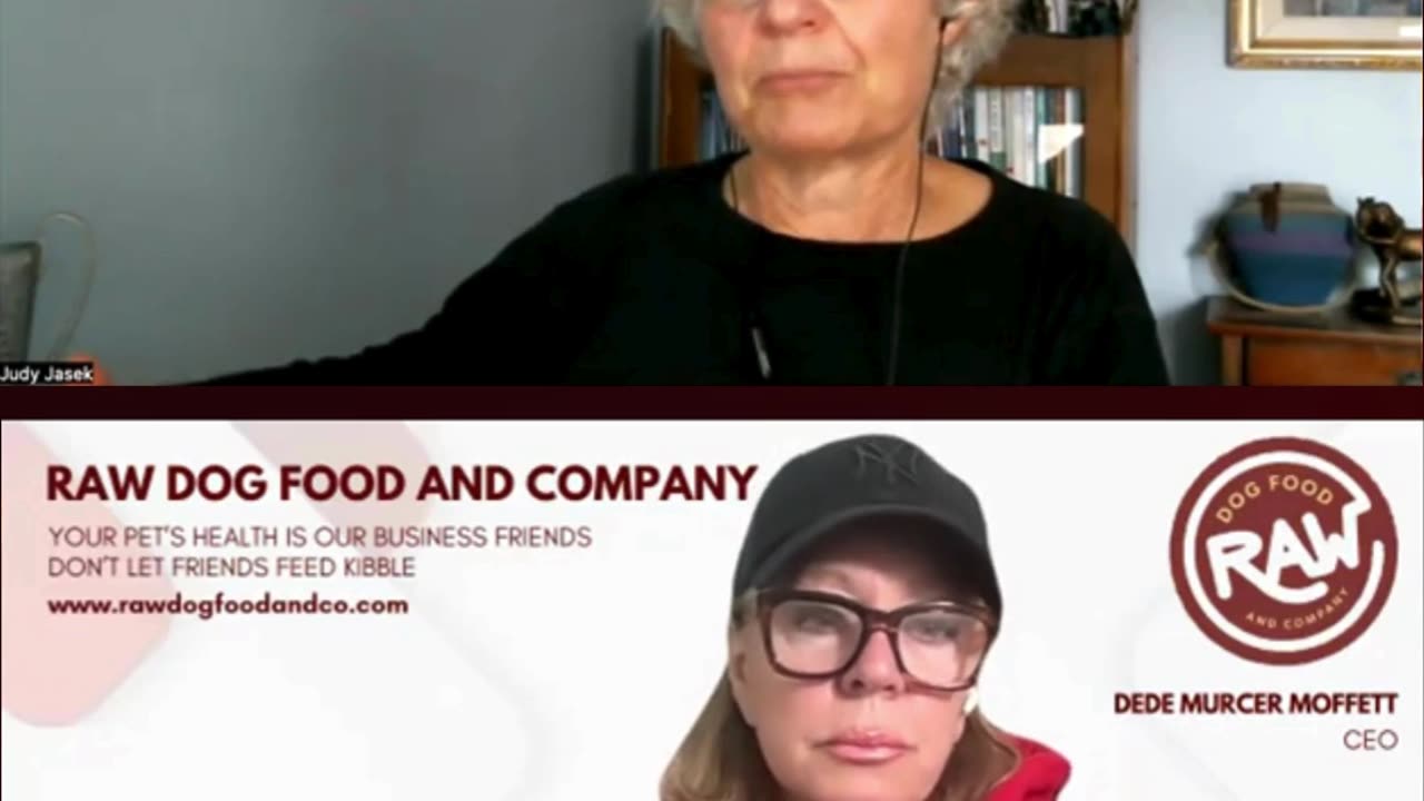 Holistic vs Conventional Veterinary Practices