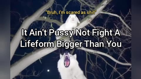 It Ain't Pussy To Not Fight Predators