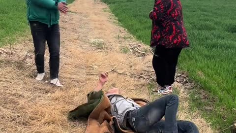 Funny video + Comedy clip #funny #comedy