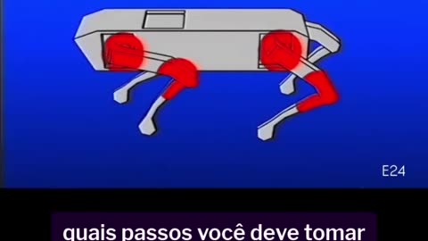 Vídeo educacional para o domingo.